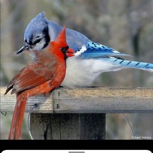 Meet your Posher, Denise